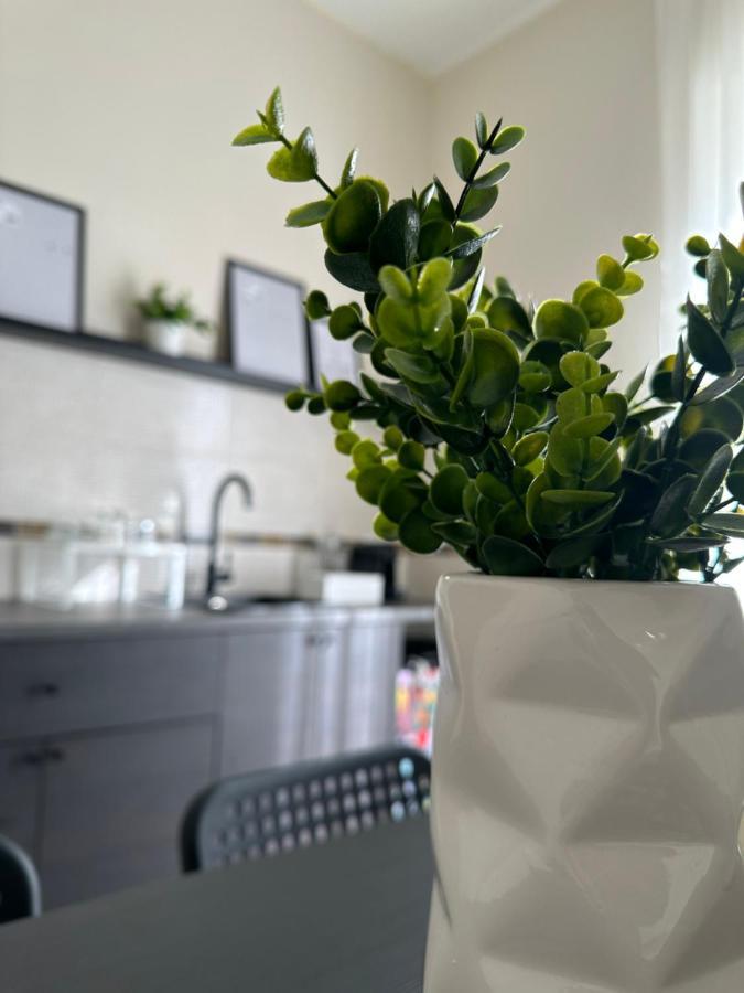 Diverso Apartment Caiazzo Dış mekan fotoğraf